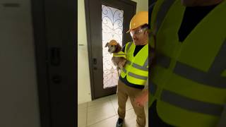 WHEN PUPPY replaces you…HUBBY NEW BEST FRIEND 😂😅 #puppy #love #happiness #construction #handyman