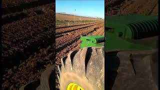 John Deere persiguiendo a una liebre (chases after hare)