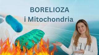 Borelioza i dysfunkcje mitochondrialne: Światowy Tydzień Świadomości Chorób Mitochondrialnych 2021