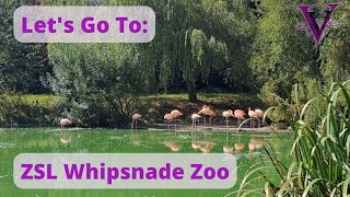 Visiting ZSL Whipsnade Zoo #familyfun #zoo #conservation