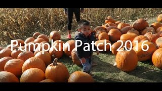 Our First Family Pumpkin Patch Experience-2016