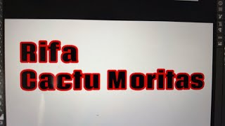 Platiquemos y saquemos a un ganador 🥇 Rifa Morita