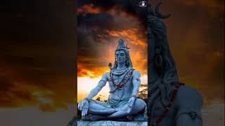 Har har Mahadev i #shivtandavstatus #om #mahadevsongs #omchanting #shivshankar #meditation #spiritua