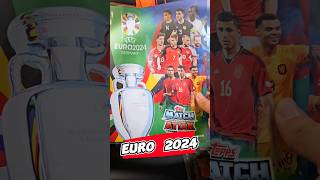 Koliko sam zaradio od EURO 2024 KARTICA