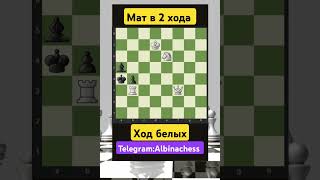 Telegram: Albinachess #chess #шахматы #chorts