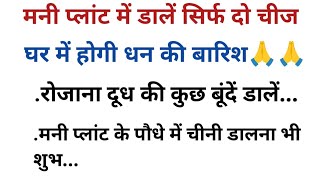 मनी प्लांट में डालें सिर्फ दो चीज।घर में होगी धन की बारिश।वास्तु शास्त्र Vastu Tips