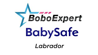 Fotelik obrotowy BabySafe Labrador | BoboExpert.pl