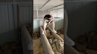 Breeders display their farmed prairie dogs