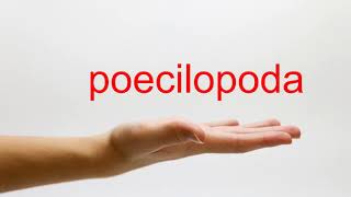 How to Pronounce poecilopoda - American English