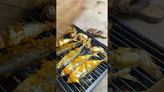 Bakar Ikan Kembung buat makan Siang mantepp !!! #ikan #asmr #ikanbakar #rafiahmad #riaricis