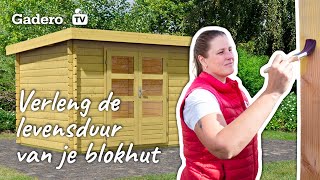 Wat te gebruiken om blokhut te behandelen? Ontdek hier alle opties!