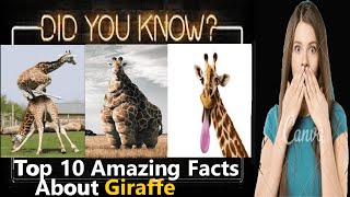 Giraffe Facts: Top 10 Captivating Fun Facts About Giraffes | Wonders of Nature's Tallest Creatures