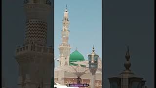 Madina Sharif Whatsapp Status | Beautiful Naat Status | Huzoor Ki Bargah | #yarasoolallahﷺ #shorts