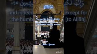 Surah Al Baqrah Ayat 45-46 #surahalbaqarah#shorts#shorts_ #yt #shortsfeed #reciter Muhammad Al Wakil