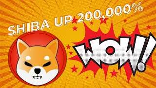 Shiba Inu up 200,000 %