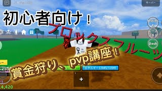 初心者向け！ブロックスフルーツ、賞金狩り、PVPガイド！徹底解説してみた！✨