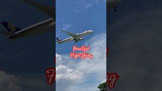 Beautiful flying Video/#viralvideos #youtubeshorts #shortsvideos #flight #flying .