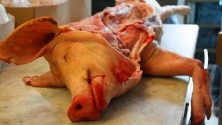 HOW IT'S MADE: Meat Products (720p)