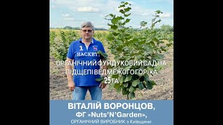 ОРГАНІЧНИЙ ФУНДУКОВИЙ САД НА ПІДЩЕПІ ВЕДМЕЖОГО ГОРІХА 25 ГА!!!