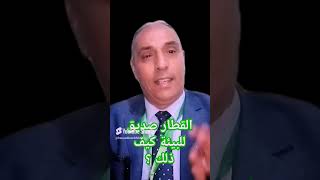 القطار يساهم في المحافظة على البيئة المحيطة لاستعماله طاقات نظيفة.