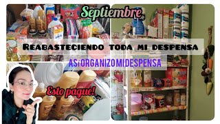 3B y Bodega Aurrera Reabasteciendo toda  mi Despensa| Carrito lleno con ofertas del Mes| esto gaste?