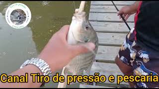 🇧🇷Criação de Peixes em Sítio Mutamba no Ceará