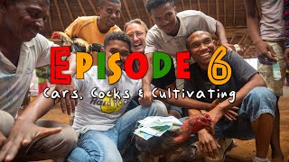 Madagascar - S2, Episode 6: Sneak Peek