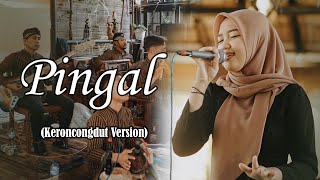 PINGAL _ Live Cover New Normal Keroncong Modern