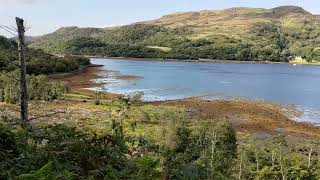 View of Loch Teacuis from Lochaline Forest