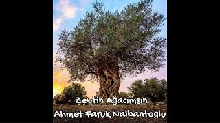 Zeytin Ağacımsın | Ahmet Faruk Nalbantoğlu