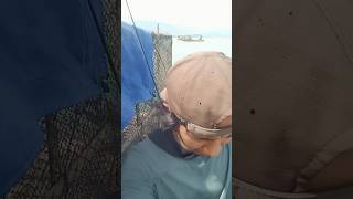 MELEDAK 🔥 ‼️.MANCING SEBENTAR HASIL SUDAH BEGINI BOSS. #SHORTS #FISHING #MANCING #VIRAL