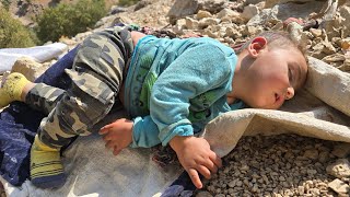 Aghaqarbun and his children among the rocks;  A journey to discover and pick mountain pistachios