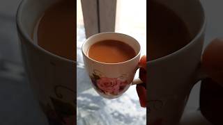 Tea lovers #song #newsong #music #bollywood #love #tealover #comedy #nature #viral #vlogs #lovesong