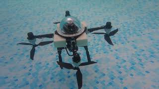 TJ-FlyingFish flying/aquatic drone