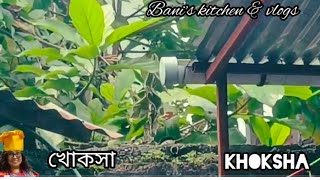 Khoksha /খোকসার এই রান্না না খেলে এর স্বাদ অজানাই থেকে যাবে।#banis kitchen & vlogs #healthy #yummy