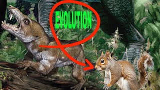 The Evolutionary Journey of Squirrels: From Past to Present