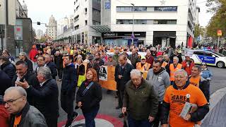 Manifestació de la Marea pensionista 19/11 2018 la lluita és l'únic camí