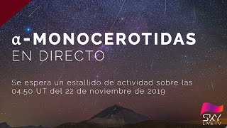 Alpha Monocerotidas en directo - Cámara del cielo 1