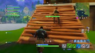 TEAMING W/RANDOM 12 YR OLD (Fortnite Battle Royale)