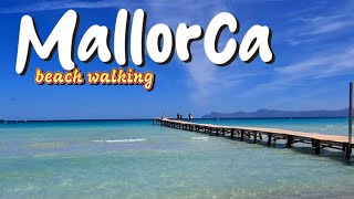 MALLORCA 2024 , PLAYA DE MURO 🏖 beach walk 🇪🇸 SPAIN 🌴