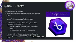 Inside Skullz City: BlockPay Office Portal - $BPAY Rewards