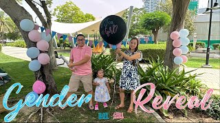 Gender Revealed | 2nd Baby