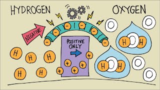 How Does a Hydrogen Fuel Cell Work?  │ Simple Explanation