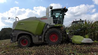 Maize 2024 - Brand New Claas 870 Jaguar Chopping Maize