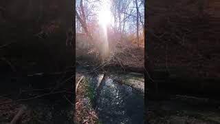 Water level~Beautiful nature scenes! The Enchanted trail🏞 #Nature  #Trail #Calming #Relaxing #spring