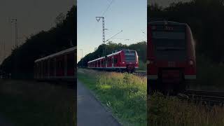 Br 425 als RB 40 nach Burg in Weddel #train #zug #trainspotting #railway #br425 #quitschi #mustwatch