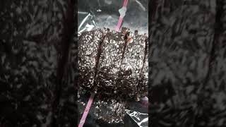 satisfiedcake #Asmr #shortfeed #short #chocolate #youtubeshorts #shortvideo #chocolatecake