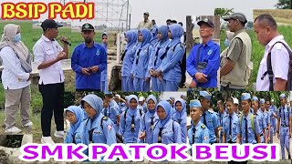 Kunjungan Siswa/Siswi SMK Patok Beusi Ke BSIP PADI | Pengenalan Varietas - Varietas Tanaman Padi