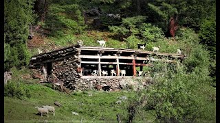 National park /پارک ملی |Inside Afghanistan|Afghanistan national park|نورستان یا پارک ملی