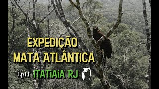 Observação de Aves - Expedição Mata Atlântica Ep 11 - Itatiaia - RJ